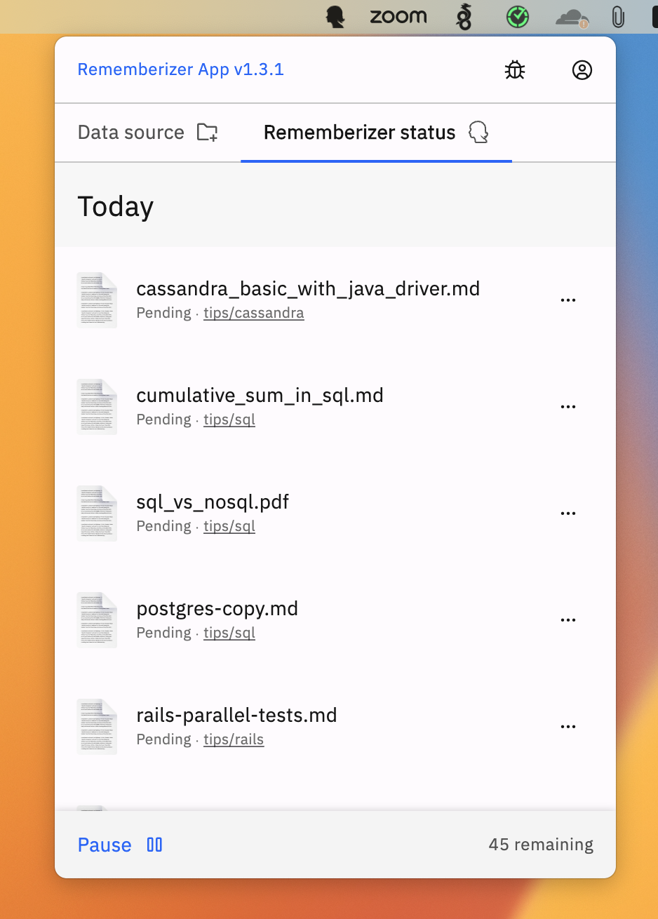 Rememberizer 앱 상태 화면
